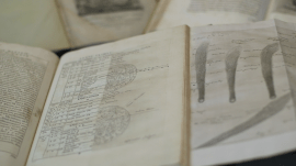 vlcsnap-2013-11-24-21h44m20s21